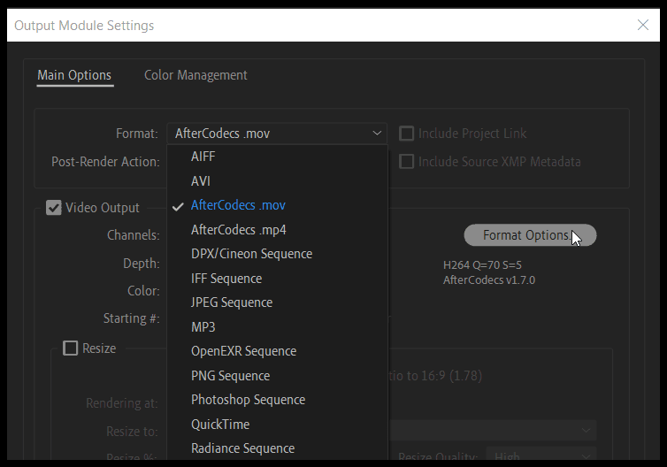 AfterCodecs_AE_Format