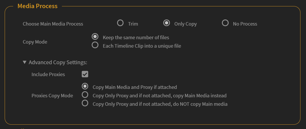 PlumePack_Autokroma_Media_Process_Only_Copy_Options_Adobe_Premiere_Pro