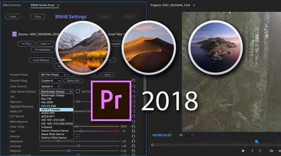 BRAW Studio Legacy Versions for Old Support (previous macOS and Adobe)